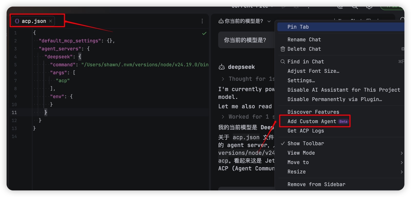 Add Custom Agent 配置界面